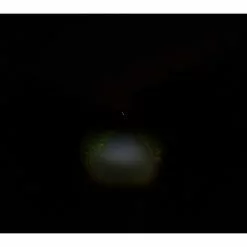 AXA Compactline 20 USB Frontlicht Mit StVZO-Zulassung -SKS Verkaufsladen 350176